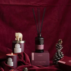 Арома дифузер ,,New Year Spirit” | 200ml – снимка 2