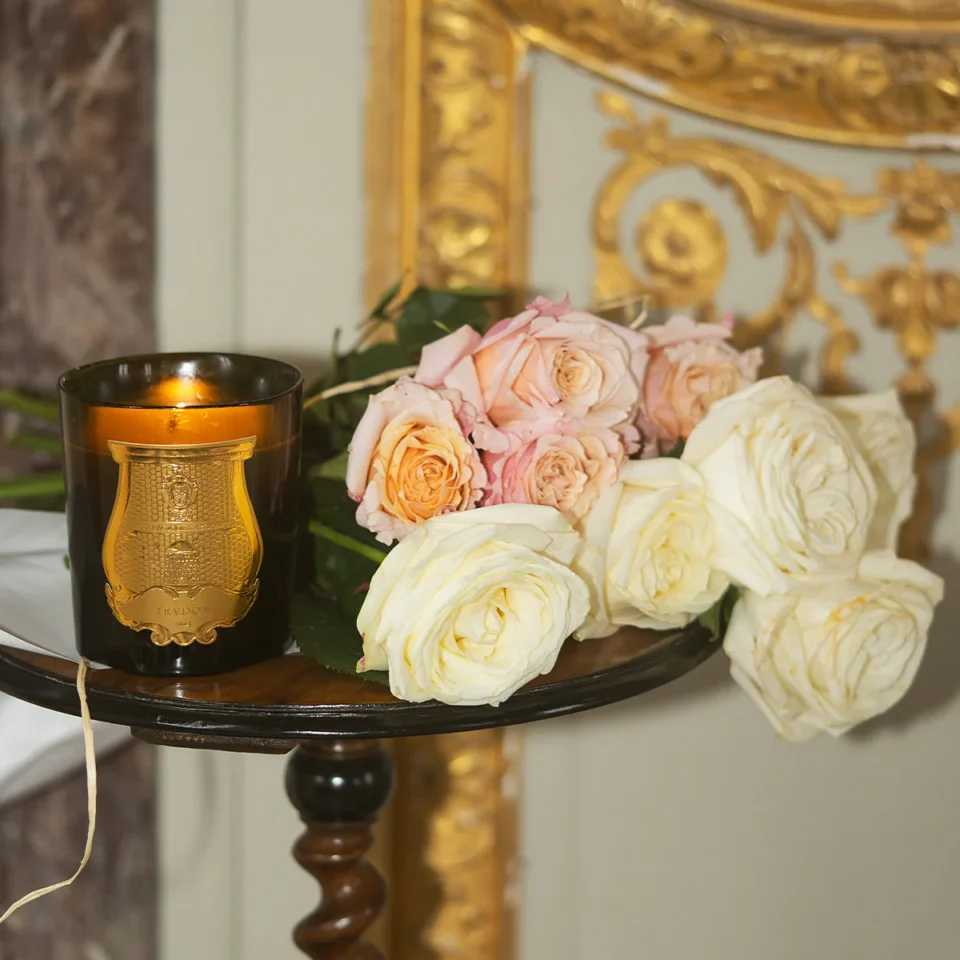 Луксозна Ароматна Свещ Trudon „Madeleine“ (Флорална Кожа)