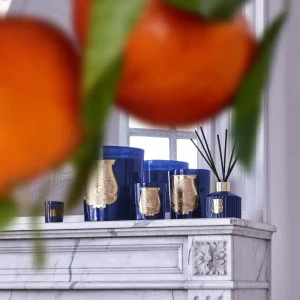Луксозна Ароматна Свещ Trudon – Reggio (Калабрийска Мандарина, Искрящ Грейпфрут & Средиземноморски Бриз) – снимка 4