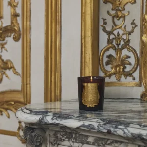 Луксозна Ароматна Свещ Trudon – Madeleine (Кожа, Кралски Ирис, Роза & Тъмен Карамфил) – снимка 2