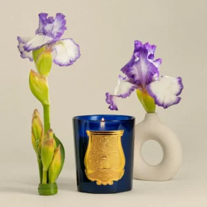 Луксозна Ароматна Свещ Trudon – Ourika (Пудрен Ирис, Чувствена Гардения & Мистичен Бензоин) – снимка 2