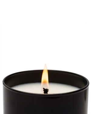 Луксозна Ароматна Свещ Santal & Tonka | 230g & 600g (XL) – снимка 8