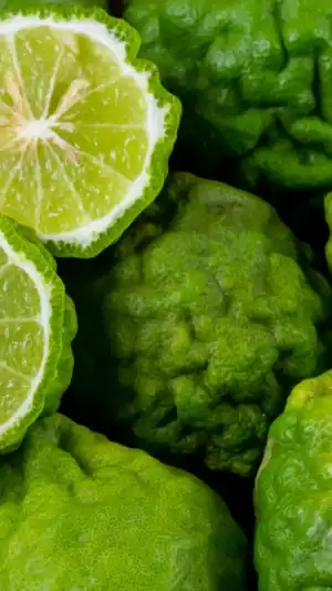 Луксозен декоративен продукт – Maison Magnifique