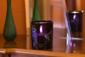 Ароматна Свещ Hummingbird | 200g, 650g, 1450g – снимка 4