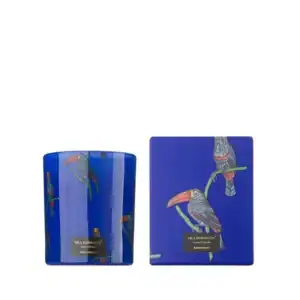Ароматна Свещ Rain Forest | 200g, 650g, 1450g – снимка 10