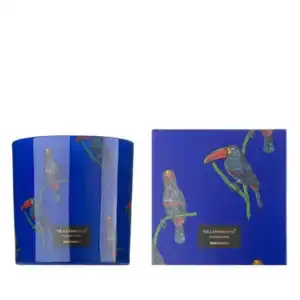 Ароматна Свещ Rain Forest | 200g, 650g, 1450g – снимка 11