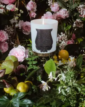 Луксозна Ароматна Свещ Trudon Rose Poivrée (Пикантна Роза) | 270g – снимка 12