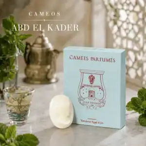 Парфюмни Восъчни Камеи за Дизайнерски Фенер Trudon La Promeneuse – Abd El Kader (Марокански Ментов Чай)