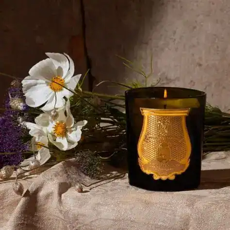 Луксозна Ароматна Свещ Trudon Joséphine (Имперска Градина) | 270g – снимка 2