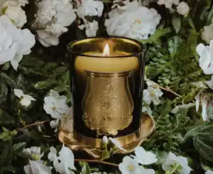 Луксозна Ароматна Свещ Trudon Joséphine (Имперска Градина) | 270g – снимка 3