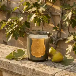 Луксозна Ароматна Свещ Trudon Figuerie (Royal Fig) – снимка 2