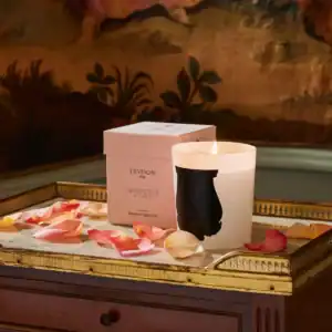 Луксозна Ароматна Свещ Trudon Rose Poivrée (Пикантна Роза) | 270g – снимка 5