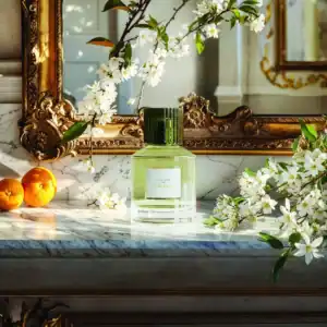 Нишов Парфюм Trudon – Absolu (Шафран, Абсолют от Портокалов Цвят и Тонка) | 100ml & 15ml – снимка 5