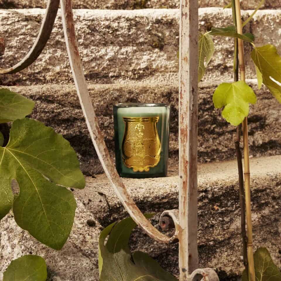 Луксозна Ароматна Свещ Trudon „Figuerie“ (Кралска Смокиня)