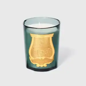 Луксозна Ароматна Свещ Trudon Figuerie (Royal Fig) – снимка 14