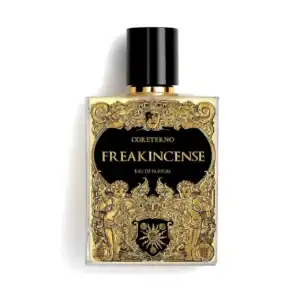 Нишов Парфюм CORETERNO – Freakincense Eau de Parfum | 100ml – снимка 6