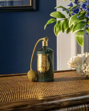 Луксозен Спрей за Стая Trudon Figuerie (Кралска Смокиня и Зелени Нотки) – снимка 8