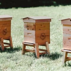 Trudon 2018, Protect the Bees