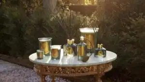 Луксозен Спрей за Стая Trudon Figuerie (Кралска Смокиня и Зелени Нотки) – снимка 9